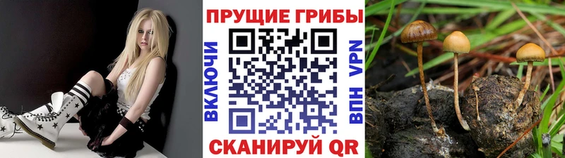 Галлюциногенные грибы MAGIC MUSHROOMS  Радужный 