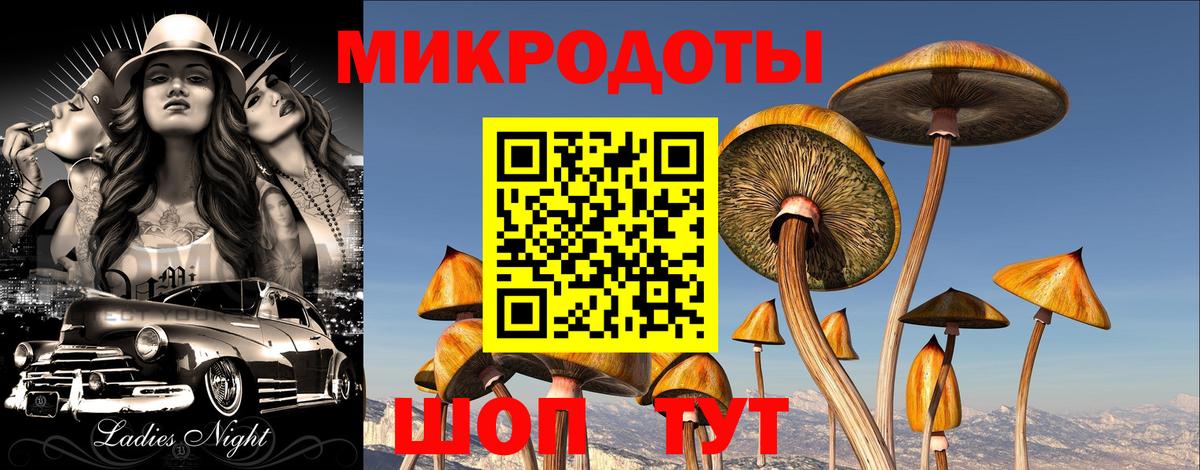 Псилоцибиновые грибы Cubensis Радужный